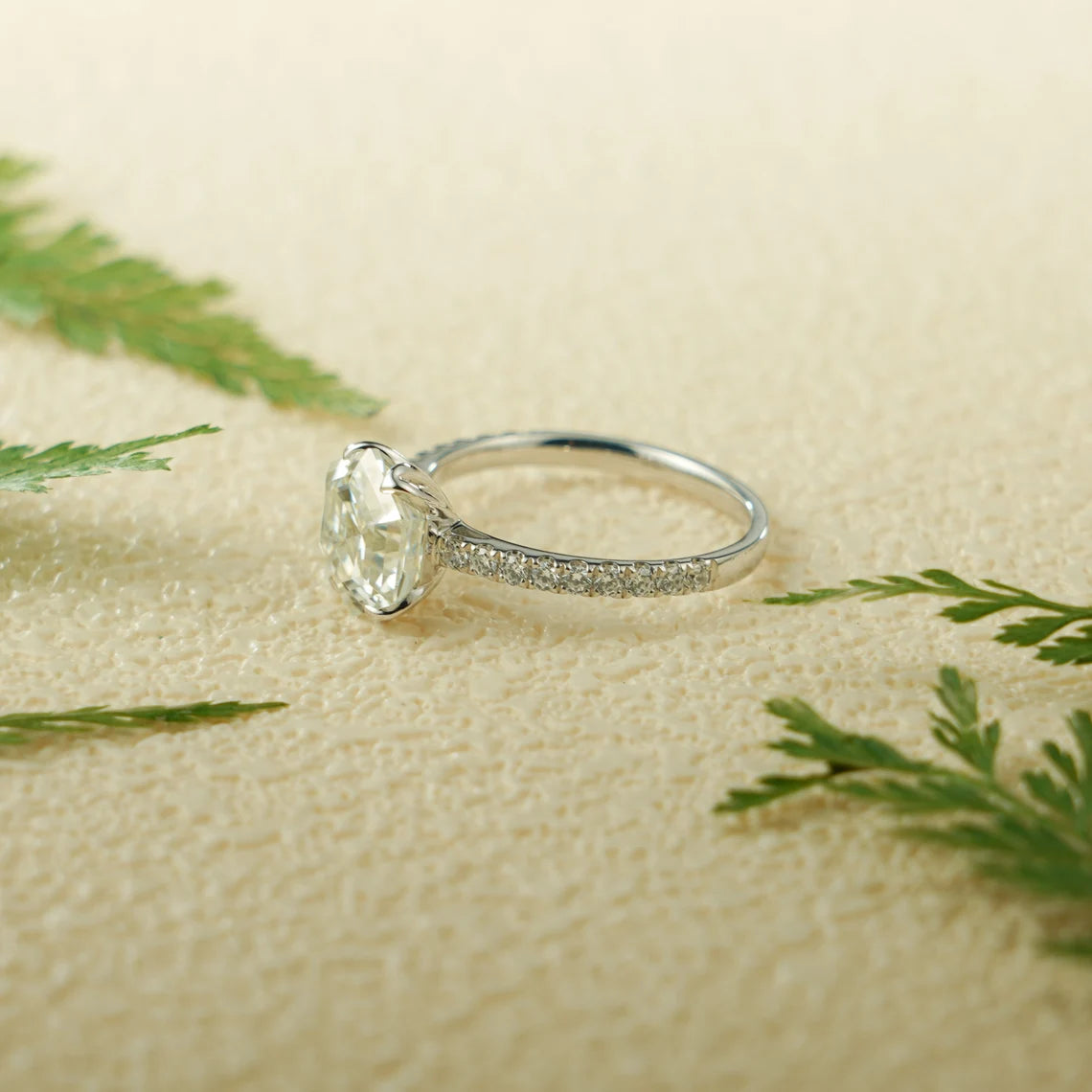 Proposal ring for her