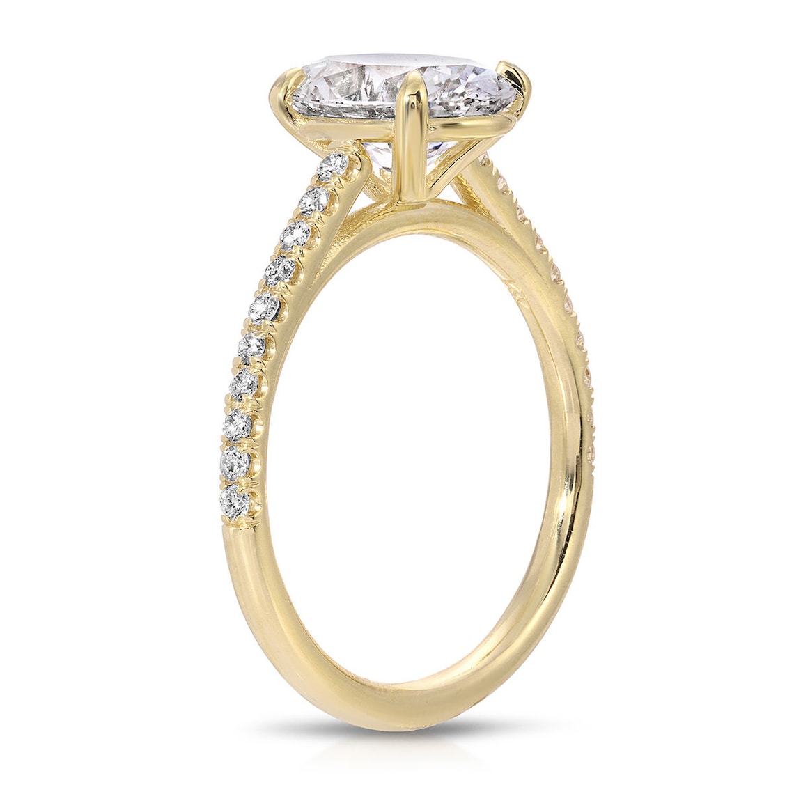 Luxury anniversary ring